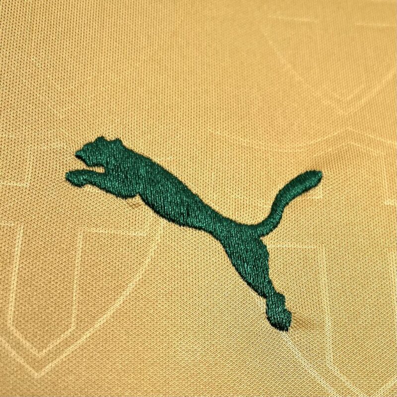 Camisa Palmeiras II - v4