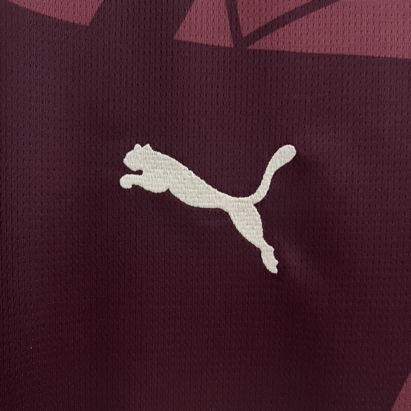 Camisa Manchester City III - 24/25 Torcedor - v4
